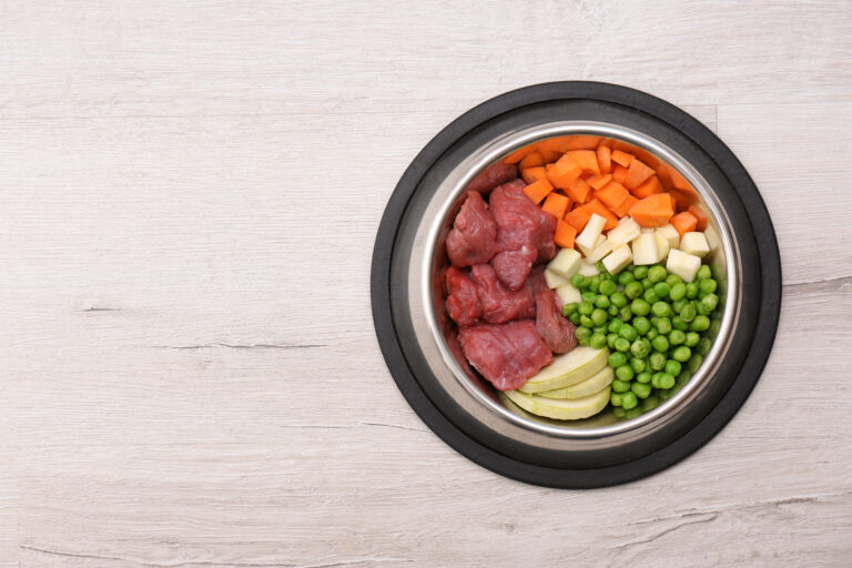 Gourmet Recipes for Pampered Pets
